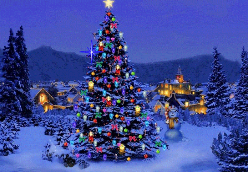 Rundschreiben 12/2025